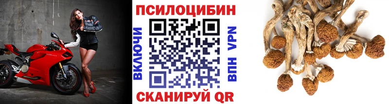 Псилоцибиновые грибы мицелий Шелехов