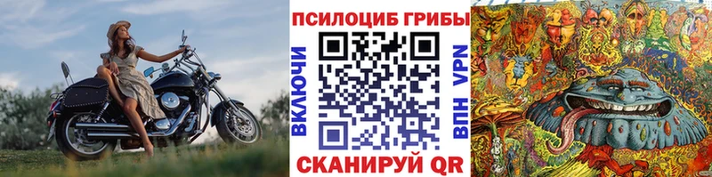 блэк спрут ССЫЛКА  Шелехов  Галлюциногенные грибы Psilocybine cubensis 